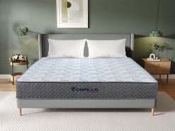 Đệm lò xo túi độc lập Ecopillo